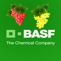 ������ ��������� �� �������� � ���������� ����� BASF